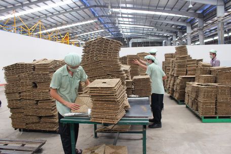 Sản phẩm từ lục bình tại Công ty CP Sản xuất kinh doanh xuất nhập khẩu Vĩnh Long. 