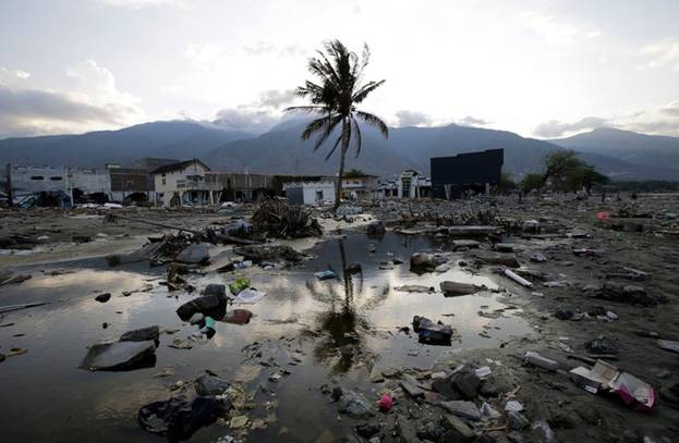 Một chiếc cây đứng đơn độc giữa nền đất đầy những mảnh vỡ hoang tàn sau khi trận động đất sóng thần càn quét qua Palu, Trung Sulawesi. Ảnh: AP