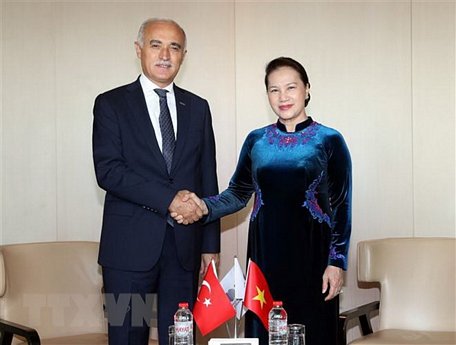 Chủ tịch Quốc hội Nguyễn Thị Kim Ngân đã tiếp ông Nail Olpak, Chủ tịch Hội đồng Kinh tế Đối ngoại Thổ Nhĩ Kỳ (DEIK). (Ảnh: Trọng Đức/TTXVN)