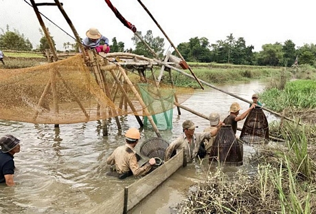 Người dân Quảng Ngãi đi bắt cá đồng vào đầu mùa mưa lũ hàng năm.