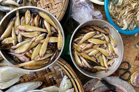 Người mua có thể dễ dàng tìm thấy nhiều loại đặc sản như cá bống.. với giá mềm hơn so các chợ khác trong vùng từ 15.000-20.000 đồng/kg.