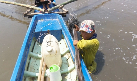 Bắt cá bằng đẩy côn đòi hỏi phải có sức khỏe để lội trên đồng ruộng ngập nước, dầm mưa dãi nắng gần như suốt cả ngày
