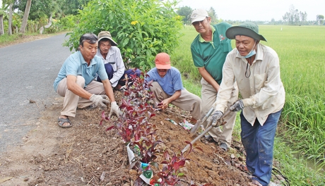 Hội viên nông dân xã Long Phước tích cực trồng hoa để tôn tạo cảnh quan môi trường.