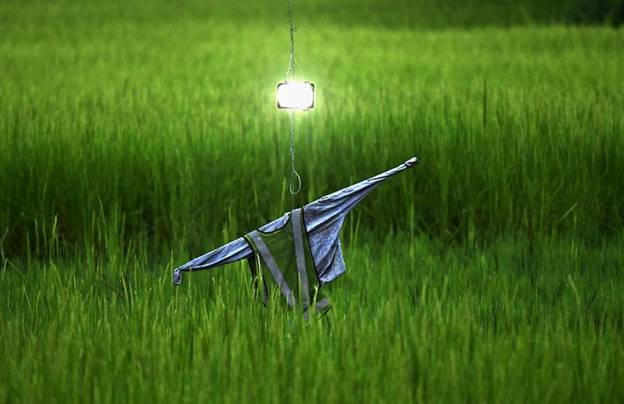Bù nhìn có gắn đèn pha trên cánh đồng ở Nagaon, Assam, Ấn Độ.