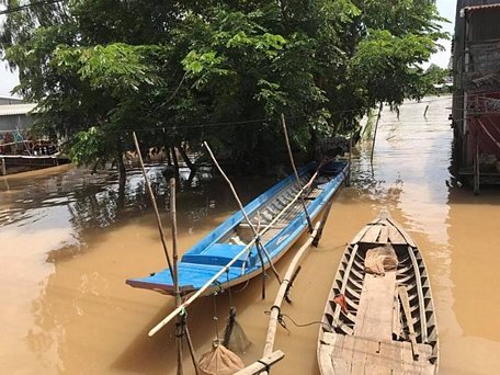 Nước lũ kết hợp triều cường gây ngập lụt tại ĐBSCL năm 2018. Ảnh: Cục Phòng chống thiên tai