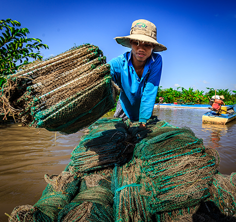 Với 45 cái lú, mỗi ngày anh Trần Văn Hận, ở xã Hỏa Lựu, thành phố Vị Thanh, bắt được từ 30-40kg cá rô, cá lóc, cá sặc… Anh giao cho các chợ đầu mối ở chợ Vị Thanh kiếm được từ 400.000-600.000 đồng/ngày.