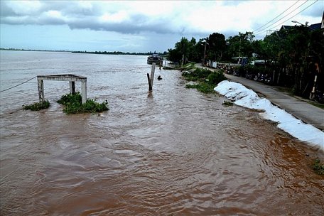 Nguy cơ cao xảy ra sạt lở đê bao vùng ven sông và ngập lụt ở đồng bằng sông Cửu Long (Nguồn: phapluatxahoi.vn)