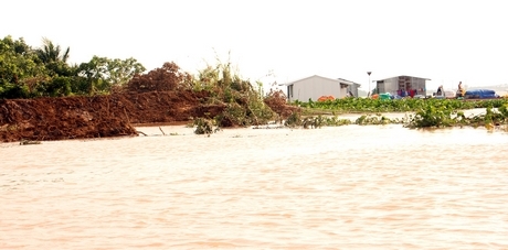 Vào mùa mưa bão với nhiều ảnh hưởng của các loại hình thiên tai bão mạnh, lũ, triều cường, sạt lở bờ sông sẽ gây thiệt hại rất lớn. Trong ảnh: Nuôi bè cá trên sông cặp khu vực sạt lở bờ sông (xã An Bình- Long Hồ).