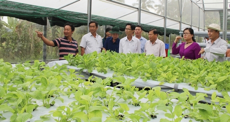 Ông Lê Quang Đạo (thứ 3, bên phải) tham quan mô hình trồng rau thủy canh.