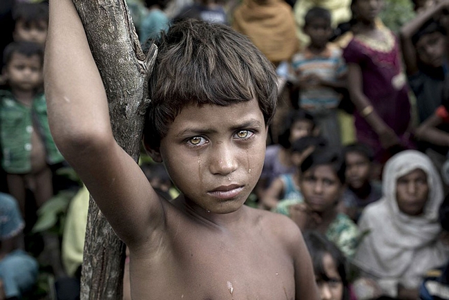Bức ảnh đoạt giải Ảnh của năm. Ảnh chụp cô bé Asmat Ara khi chạy nạn từ Myanmar sang Cox’s Bazar, Bangladesh. Nỗi vất vả, kinh hoàng hằn rõ trên gương mặt trẻ thơ.