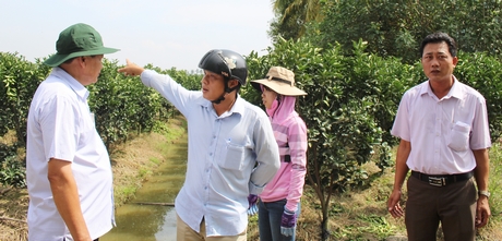 Ông Lê Quang Đạo (bìa trái) chia sẻ với nông dân về mô hình trồng cam sành.
