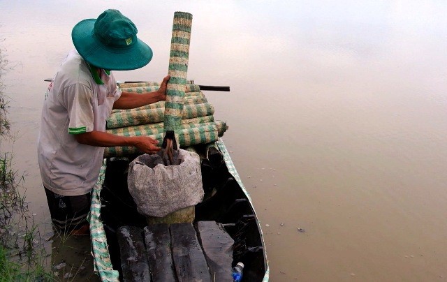 Anh Dương Văn Vũ có hơn 10 năm đặt trúm lươn trong mùa nước nổi.