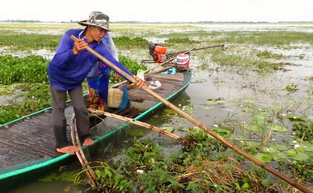 Với kinh nghiệm hơn 10 năm xúc ụ lươn, anh Lê Phi Hùng có thu nhập vài triệu đồng mỗi ngày.