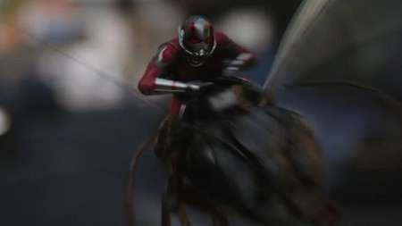 Trong truyện tranh, danh hiệu Ant-Man ban đầu thuộc về nhà khoa học Hank Pym nhưng trên màn ảnh, đa phần khán giả đều thấy hình tượng siêu anh hùng đáng yêu này gắn liền với Scott Lang do nam tài tử Paul Rudd thể hiện.
