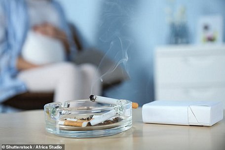  Thai phụ phơi nhiễm khói thuốc, thai nhi sẽ phải hứng chịu nhiều bất lợi - ảnh: SHUTTERSTOCK