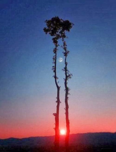 Khi mặt trời và mặt trăng cùng nằm trên một đường thẳng.