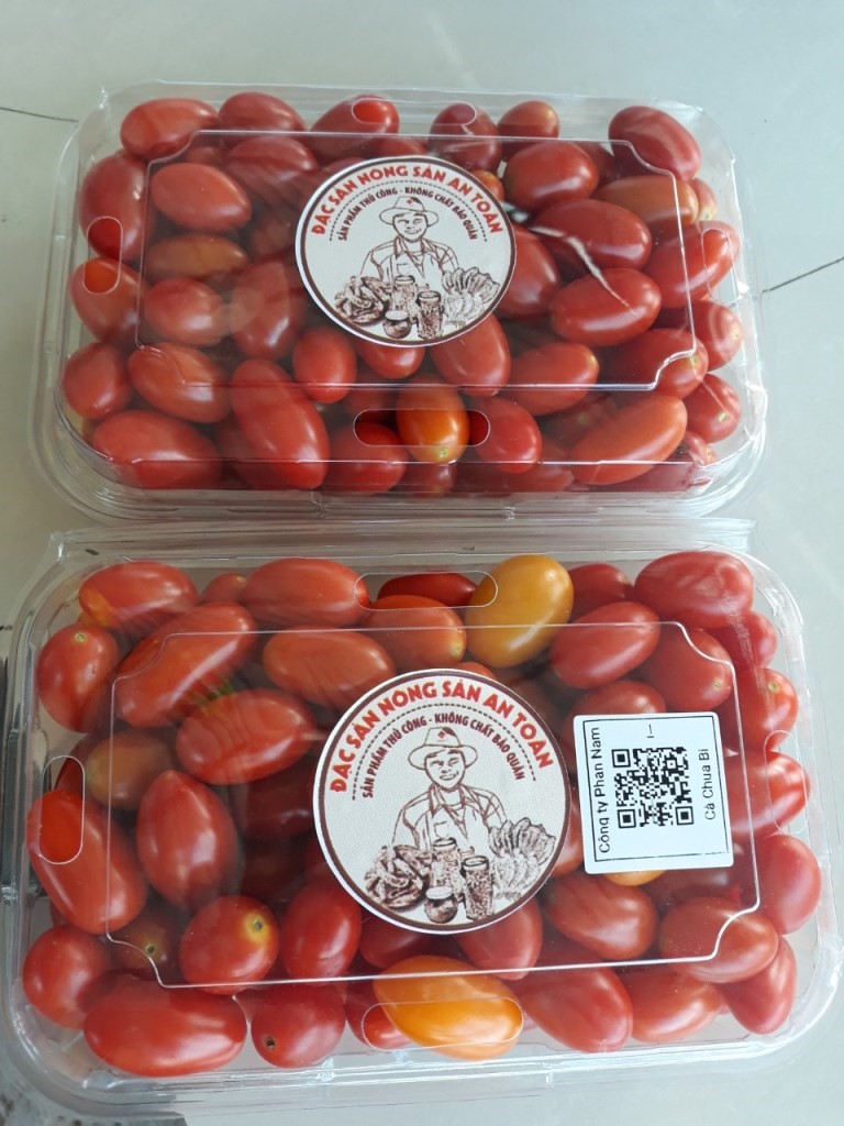 Dán tem truy xuất nguồn gốc cà chua bi