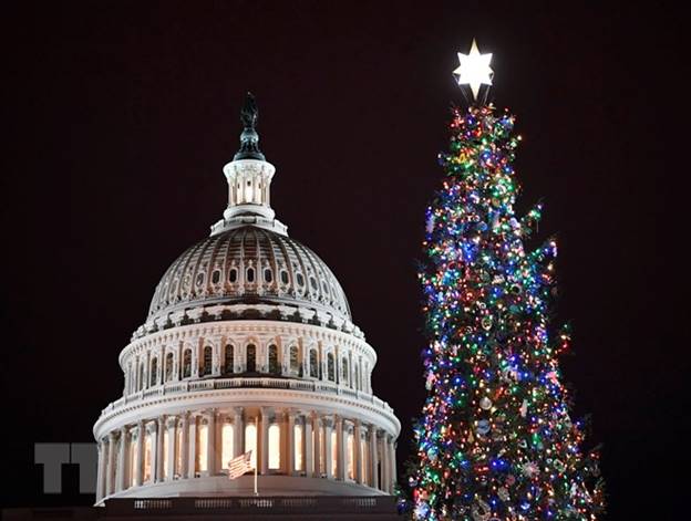  Cây thông Noel tại Đồi Capitol, Washington D.C., Mỹ, ngày 6/12/2018. (Ảnh: THX/TTXVN)
