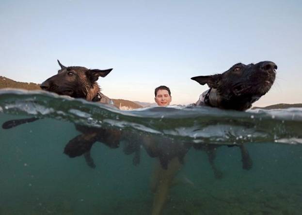 Hai chú chó cùng người chủ của mình tham gia cuộc thi bơi dưới biển 