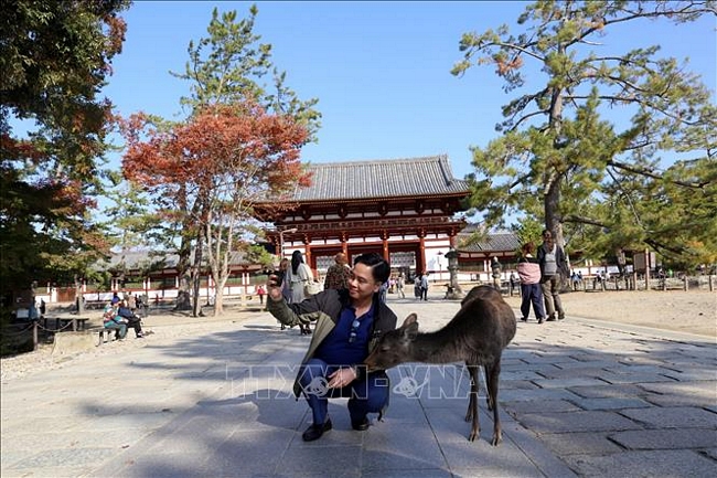 Công viên tọa lạc ở nơi thu hút du khách nhất thành phố Nara với những địa điểm nổi tiếng như: chùa Todaiji, đền Kasuga Taisha, chùa Kofukuji và bảo tàng quốc tế Nara. 