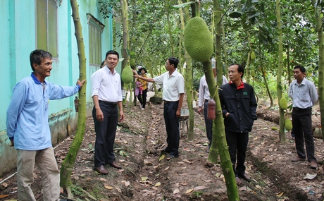Ông Lùng (bìa trái) chia sẻ kinh nghiệm trồng mít Thái da xanh với đoàn.