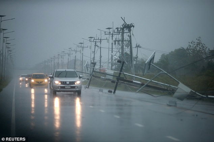 Hàng loạt ô tô hối hả di chuyển trên con đường có hàng cột điện bị gió bão quật đổ ở tỉnh Nakhon Si Thammarat (Ảnh: Reuters).