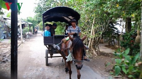 Du lịch xe ngựa- hoạt động độc đáo xứ dừa.