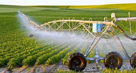  Mô hình nông nghiệp công nghệ cao mà nhà nghiên cứu cấp cao thuộc Đại học Southern Queensland (Úc) Nguyễn Kỳ Tài hướng đến