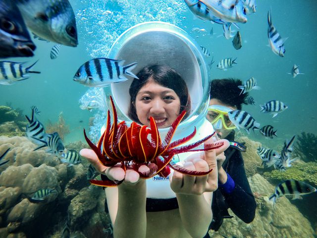  Vùng san hô trên biển ở Phú Quốc rộng gần 480ha. Riêng khu vực Nam đảo, tức quần đảo An Thới, diện tích san hô trải rộng trên 360 ha. 