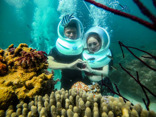 San hô ở Phú Quốc đa dạng với nhiều loại, rực rỡ sắc màu mang đến cho du khách những trải nghiệm thú vị