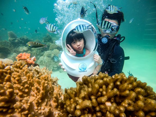 Ở biển Phú Quốc, du khách chỉ cần mặc áo phao và mang kính lặn có ống thông khí rồi úp mặt xuống nước là có thể chiêm ngưỡng san hô.