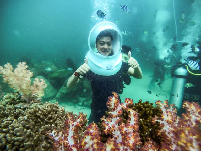 Không chỉ được chiêm ngưỡng những rạn san hô rực rỡ sắc màu, du khách còn được tận mắt ngắm nhìn những đàn cá với số lượng lên đến hàng trăm con, bơi lội lượn lờ bên những rạn san hô dưới đáy biển.