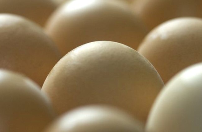 3 quả trứng đã đủ để sản xuất hàng chục loại thuốc chứa hai protein này. Trong khi đó, mỗi năm gà có thể đẻ tới 300 quả trứng. Ảnh: BBC