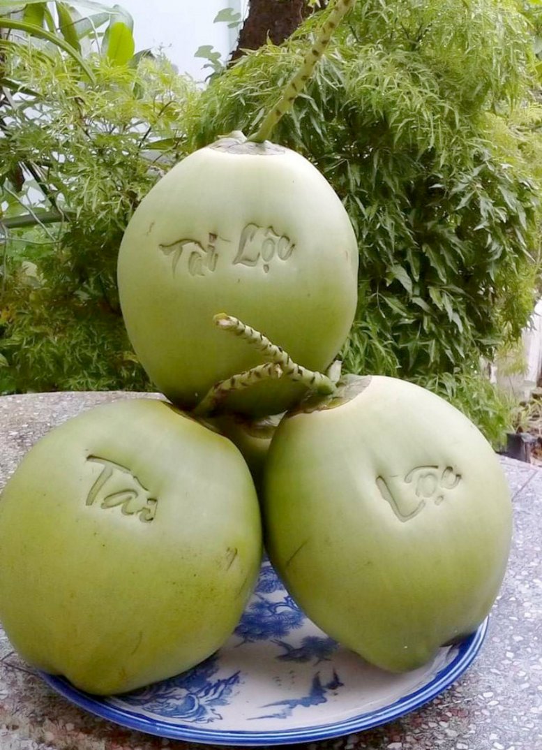 Anh Trương Hoàng Tuấn (ngụ ấp Bình Thuận 2, xã Hòa Ninh- Long Hồ) đang sở hữu 1000 trái dừa dứa in chữ “Tài- Lộc” và giá mỗi cặp dừa khoảng 400.000đ.