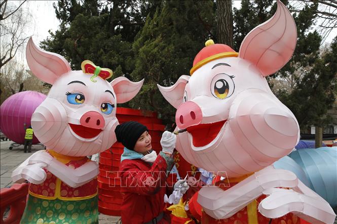 Trang trí đèn lồng hình chú lợn tại công viên ở Tế Nam, tỉnh Sơn Đông, Trung Quốc, để chào đón Tết Nguyên đán Kỷ Hợi. Ảnh: THX/TTXVN