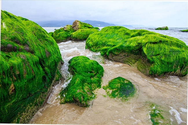 Điểm thú vị nhất của bãi đá rạn Nam Ô là đoạn biển đá chồng lên đá, có hòn cao cách mặt nước non sải tay, tạo thành rạn đá dài vươn ra biển.
