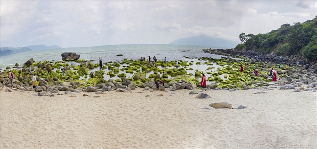 Tiết trời nắng ấm, rêu xanh bắt đầu mọc trên các tảng đá, giữa làn nước biển trong veo.