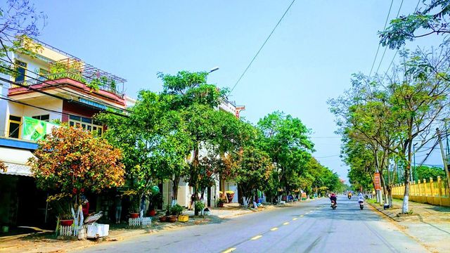 Đường phố Đà Nẵng thật bình yên, thơ mộng khi các loài cây đang bước vào mùa thay lá