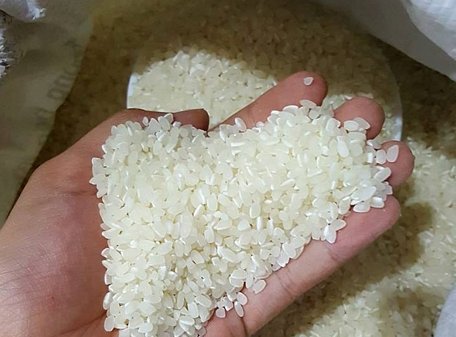 Xuất khẩu gạo tháng 1/2019 giảm cả về khối lượng và giá trị - Ảnh: VGP/Đỗ Hương