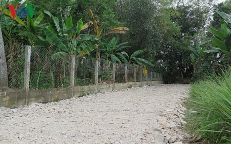 Một lô đất vườn ở thôn Bắc An, xã Hòa Tiến hiện có giá gần gấp 10 lần so với cuối năm 2018.