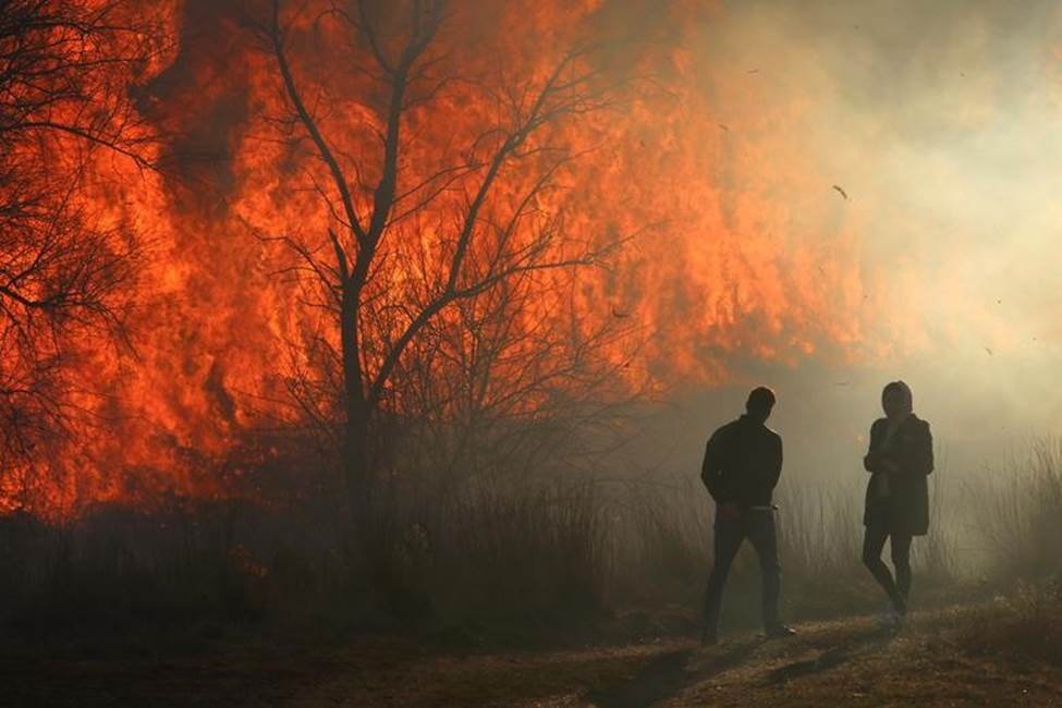 Đám cháy gần làng Ivanovka, Crimea lan rộng quanh những ngọn đồi cỏ khô. Ảnh: Reuters.
