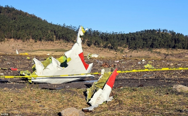 Chiếc máy bay gặp nạn khi đang trong hành trình từ thủ đô Addis Abeba tới Nairobi (Kenya).