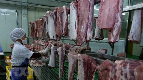  Phân loại thịt lợn đã chế biến và treo trên giá đảm bảo an toàn vệ sinh thực phẩm tại nhà máy. (Ảnh: Vũ Sinh/TTXVN)