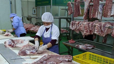 Chế biến thịt lợn tại nhà máy của Công ty Cổ phần Công nghệ thực phẩm Vinh Anh, huyện Thường Tín, Hà Nội. (Ảnh: Vũ Sinh/TTXVN)