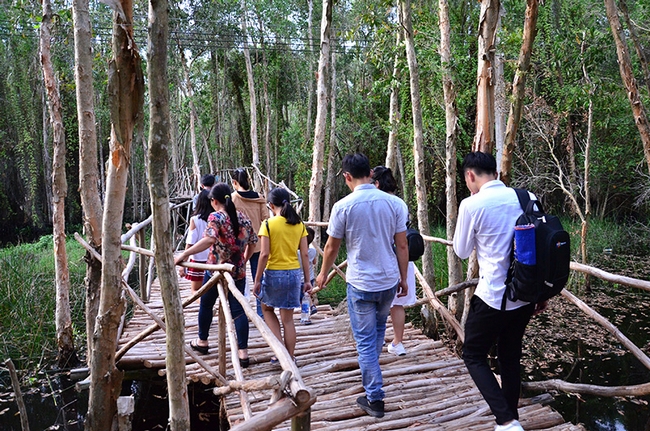 Dạo trên những con đường bằng gỗ tràm nổi trên mặt nước vòng vèo trong khu rừng sẽ khiến cho bất kì ai cũng đều cảm thấy thư thái, nhẹ nhàng.