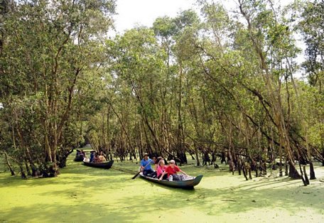 Khu du lịch sinh thái rừng tràm Trà Su thuộc xã Van Giáo, huyện Tịnh Biên, An Giang, là khu bảo tồn thiên nhiên sinh thái tiêu biểu, độc đáo vùng đồng bằng sông Cửu Long. Ảnh: TL