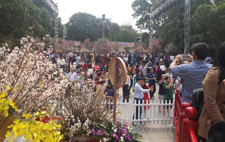 Ban tổ chức cũng sử dụng hàng trăm loại hoa đẹp của Việt Nam như lan, cúc, cẩm chướng, mẫu đơn, cẩm tú cầu… trưng bày cùng hoa anh đào.