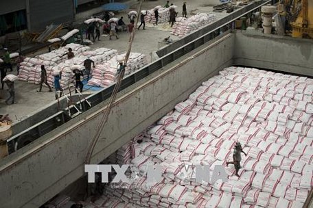 Phân loại gạo tại một nhà máy ở Bangkok, Thái Lan. Ảnh: AFP/TTXVN