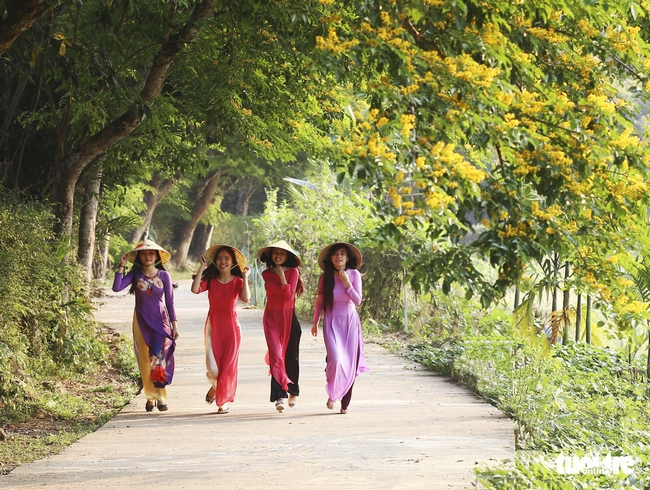 Những tà áo dài trên đường hoa sưa làng Tiên Mỹ - Ảnh: VŨ CÔNG ĐIỀN