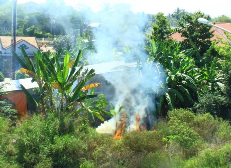 Trong ảnh: Người dân đốt cỏ trong khu vực dân cư, tiềm ẩn nhiều mối nguy hiểm.